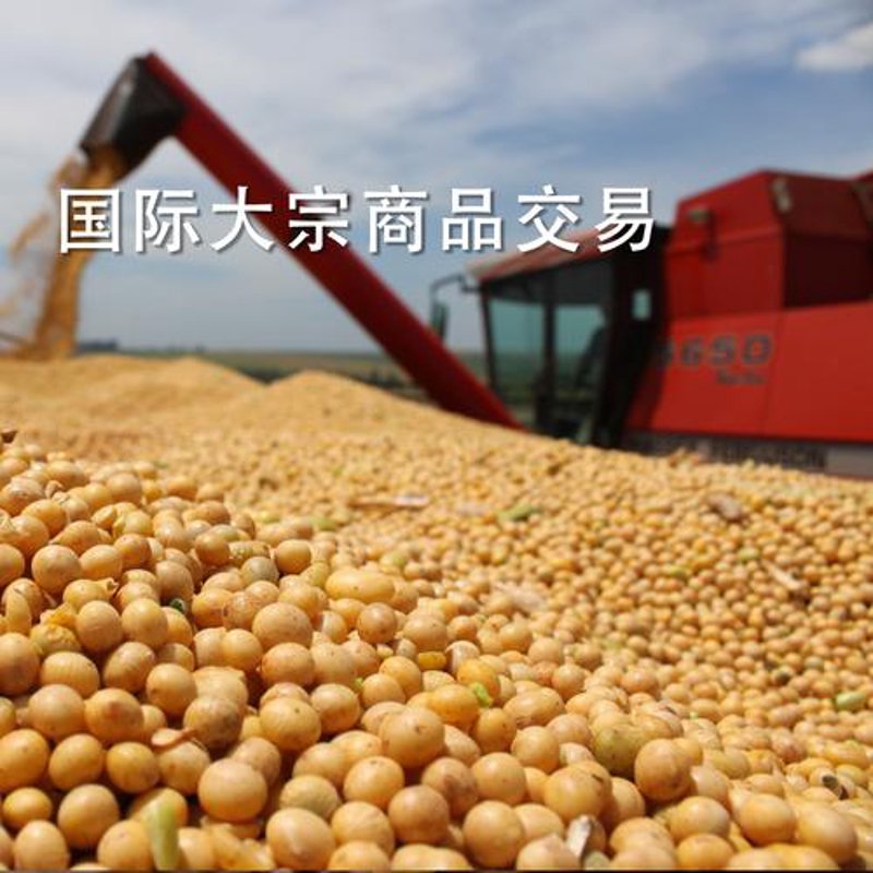 邯郸贸易公司：链接市场新机遇