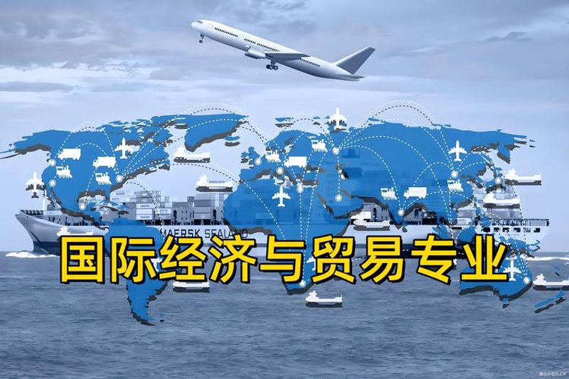 贸易代理公司：推动企业高效对接市场的桥梁